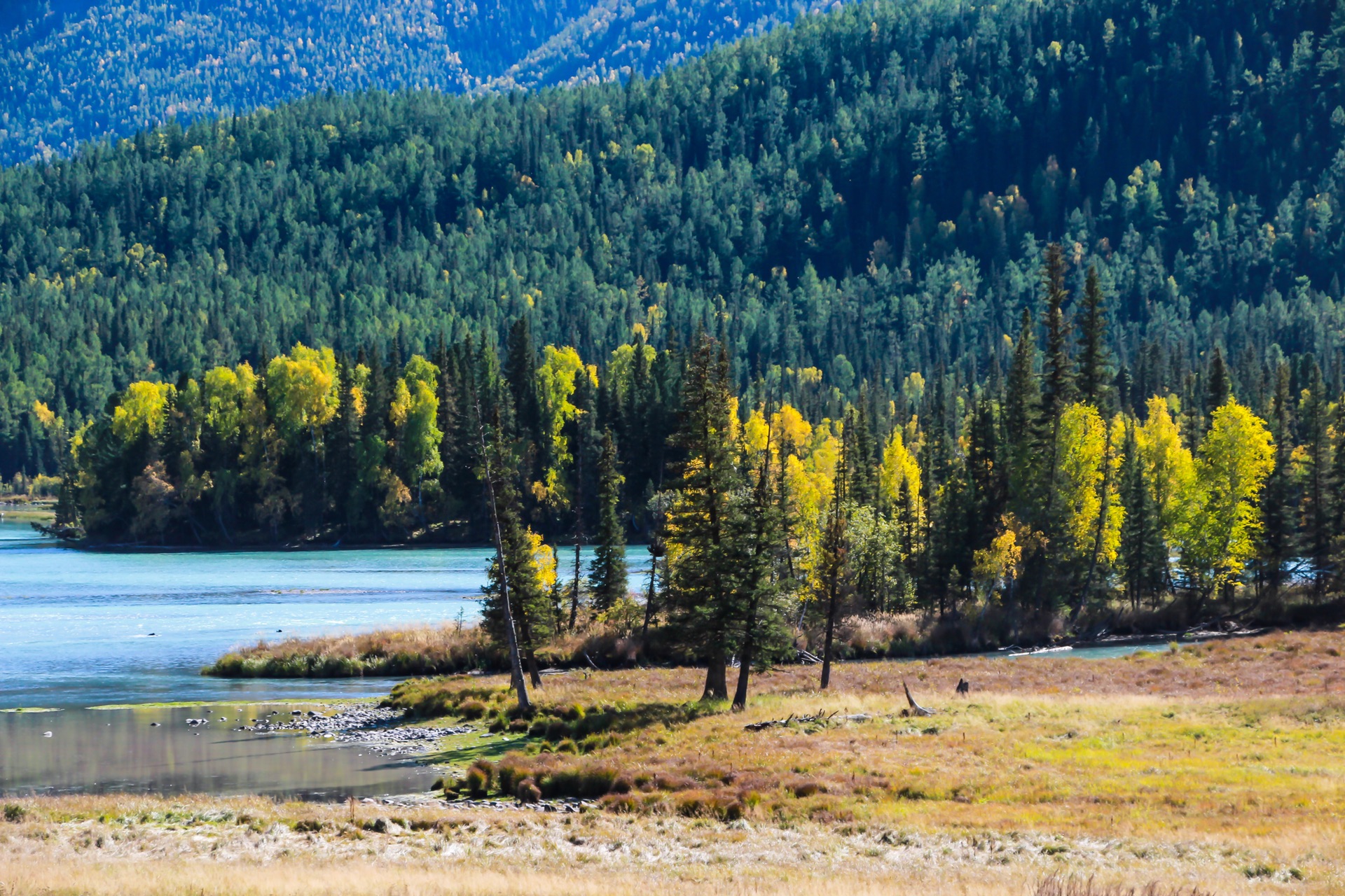新疆,多元文化荟萃的璀璨之地