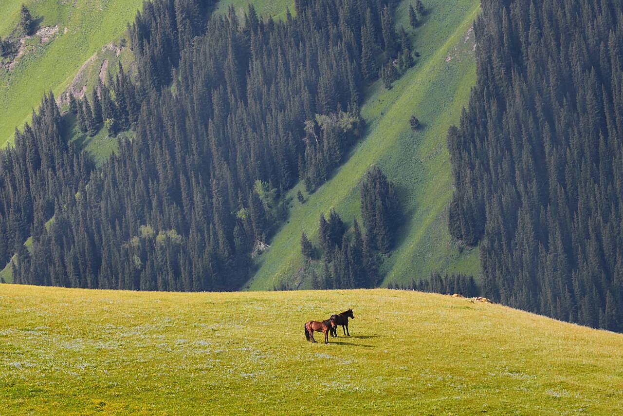 新疆,多元文化荟萃的璀璨之地
