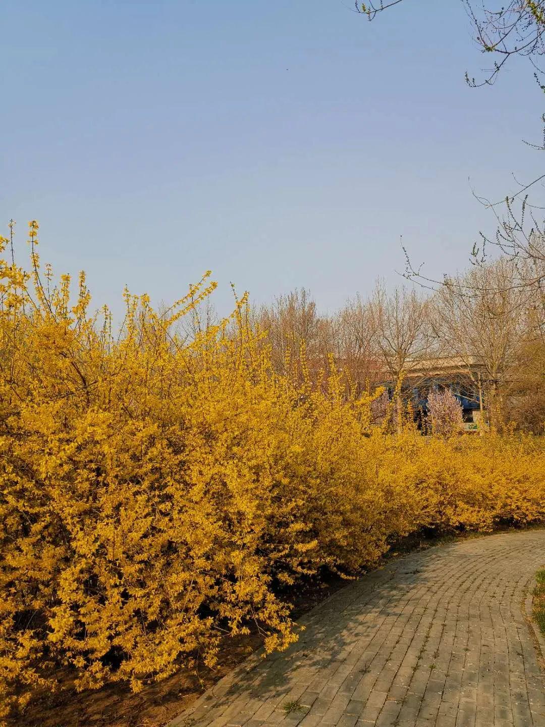 廊坊,探索这座城市的魅力