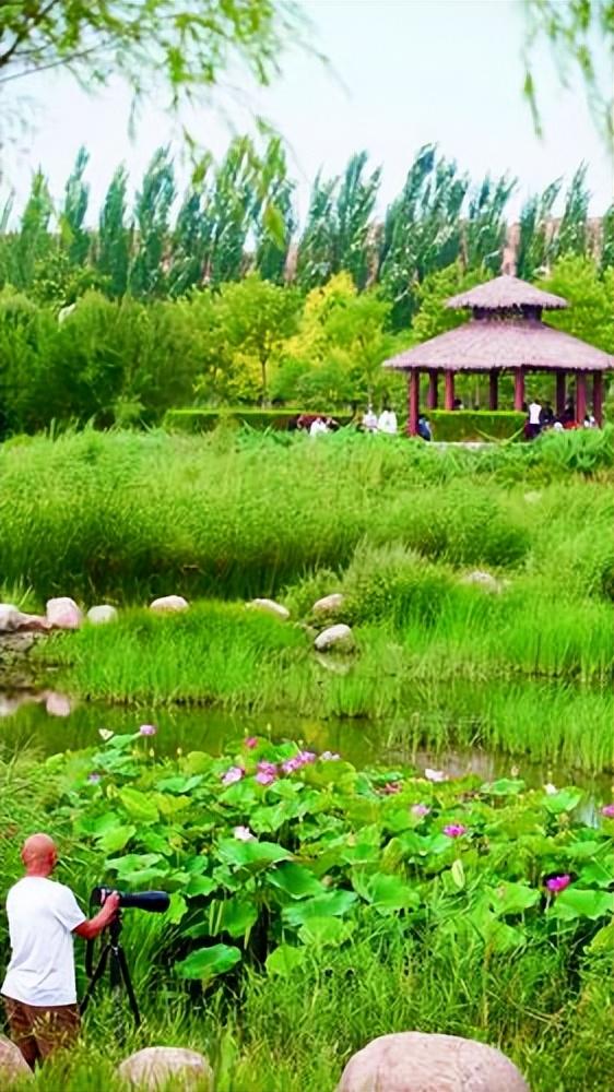 包头故事,钢铁之城里的温馨日常与友情纽带